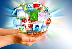 Computer Institute of Indiaindia